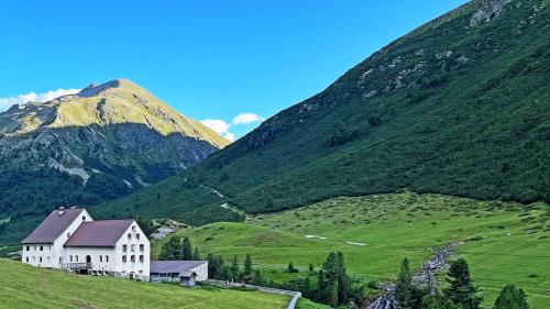 Insembel cun l’Alp Prüna e l’Alp Prünella fuorma l’Alp Serlas la pü granda alp privata in Grischun (fotografia: Martin Camichel).