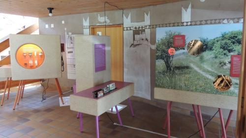 Aviöls in tuottas fuormas e culuors as poja scuvrir ill’exposiziun ambulanta chi’d es actualmaing a Tarasp (fotografia: Benedict Stecher).