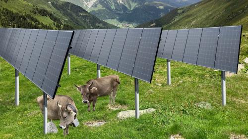 Implants solars immez la pas-chüra, sco per exaimpel a Nalps – simils progets vegnan actualmaing discutats in differentas regiuns dal Grischun (Visualisaziun: Axpo).