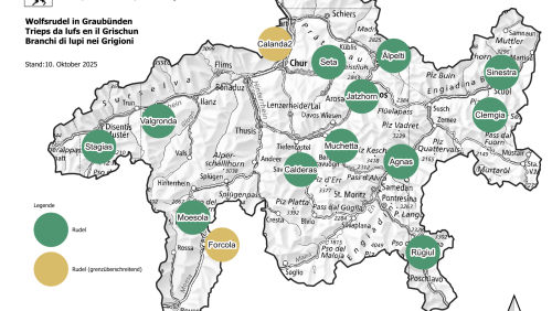 Aktuell leben 14 Wolfsrudel auf Kantonsgebiet, drei neue Wolfsrudel entstanden im Engadin.		 Karte: Amt für Jagd und Fischerei Graubünden