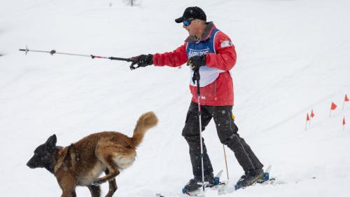 Impressionen von der Lawinenhunde Schweizermeisterschaft. Foto: Andrea Furger 