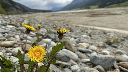 Per cha las 60 maschinas pon lavurar e mantunar material es gnü svödà il Lai dal Raisch (fotografia: Nicolo Bass).