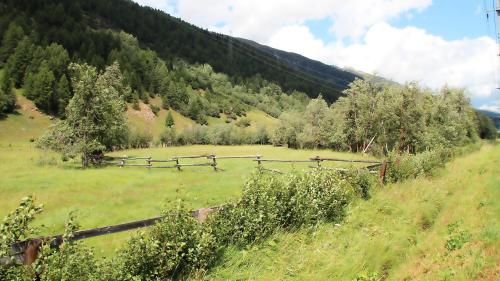 Las Agnas vain darcho renatüriso. fotografia: Alfons Clalüna