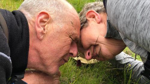 Jeroen van Westen und Thea van der Geest erkunden riechend die Landschaft (Foto: Somalgors74).