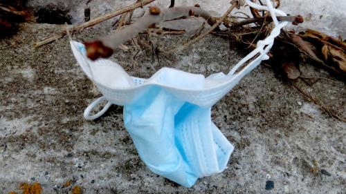 Foto: Katharina von Salis