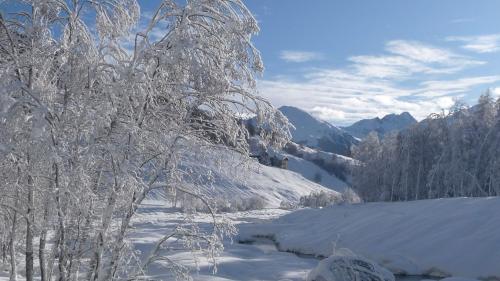 Ils Jauers han sbüttà l'augmaint da l'imposta d'immobiglias (fotografia: mad).