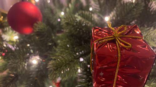 fotografia: Nicolo Bass