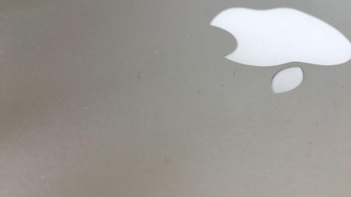 Ein Blick auf diesen Apfel und jeder weiss wer gemeint ist. Foto: Carla Sabato