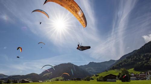 Las ultimas maestranzas svizras da parasvoul han gnü lö a Mustèr, quista jada hana lö in Engiadina Bassa (fotografia: Martin Scheel).
