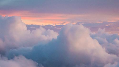 Foto: Pexels/Magda Ehlers