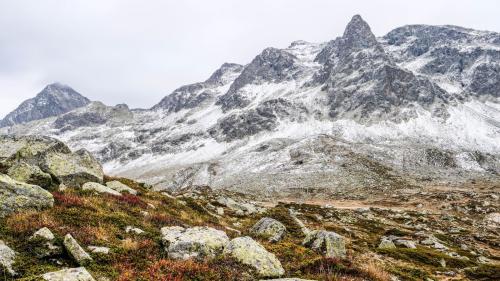 Foto: Jon Duschletta