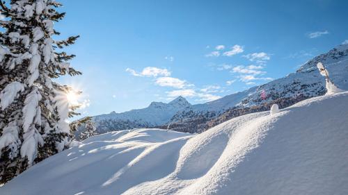 Mit dem Aktionsplan leistet der Kanton einen Beitrag an den Naturschutz und zur Reduktion von Treibhausgasemissionen. Archivfoto: Daniel Zaugg