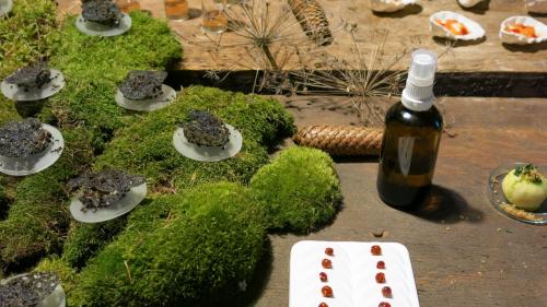 Das Coral Tuile, ein hauchdünnes Biskuit, das die Struktur einer Koralle aufweist, lässt sich mit Flüssigkeit, Mehl und Öl herstellen.             Foto: Bettina Gugger