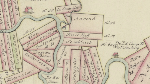 Plantage Essendam im Besitz der Pool. Oben links Engadina. Foto: z.Vfg.

