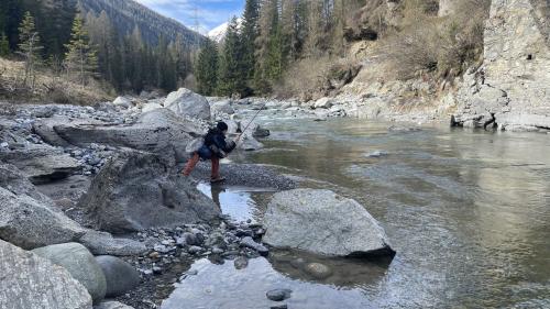 Fischen am Inn wird immer herausfordernder. Foto: Reto Stifel