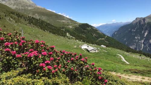 L’Alp Tea sura e l’Alp Tea sot, cun davovart l’Oberes Inntal i’l Tirol vaschin (fotografia: Flurin Andry).