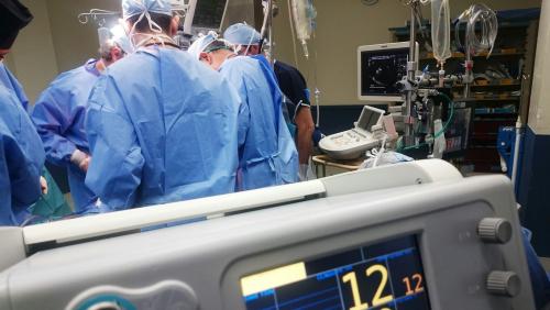 Foto: www.unsplash.com/Natanel Melchor