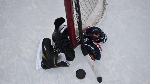 Foto: Maria Hewines / Unsplash