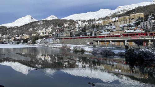 Im St. Mooritzersee leben vermutlich Polypen einer chinesischen Quallenart. Foto: Fadrina Hofmann