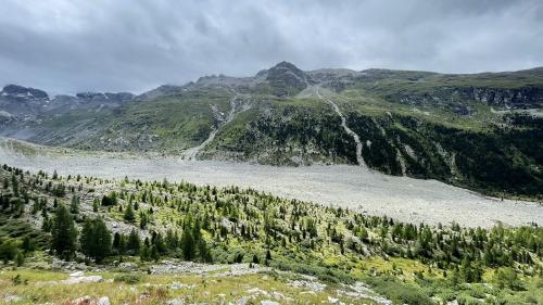 Das Ablagerungsvolumen hat sich seit dem Bergsturz deutlich verringert, ist aber immer noch eindrücklich: Das Material liegt durchschnittlich zwölf Meter hoch, das gesamte Volumen wird auf 4,6 Millionen Kubikmetern beziffert. Foto: Reto Stifel