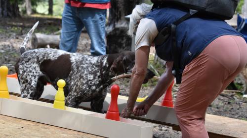 Auch Vreni Bender aus Zuoz/Basel hat mit  ihrem Hund Jared die Herausforderungen des Parcours in Sur En bewältigt (Foto: Imke Marggraf).
