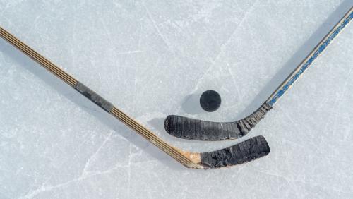 Foto: shutterstock.com/Igor Link