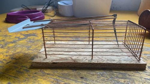 Die untaugliche Mausefalle. Foto: Reto Stifel