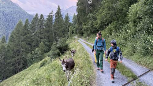 Wandern mit tierischer Begleitung. Foto: Fadrina Hofmann