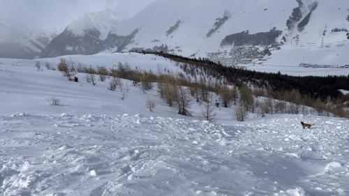 Üna negligenza chi ho chaschuno üna granda acziun da retschercha. Fotografia da la lavina suot il Piz Arpiglia inua chi d’eira gnieu scuviert ün ski abanduno la mited da favrer (fotografia: Pulizia chantunela).