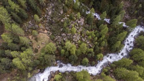 Der Chamuera-Bach wurde mit dem Label Gewässerperle Plus ausgezeichnet, ein Wasserkraftwerk wäre mit dieser Auszeichnung nicht vereinbar. Foto: Luca Zanetti