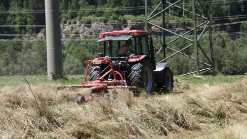 L’ediziun dal «Paur rumantsch» da gün s’occupa dal far cun fain (fotografia: Andreas Cadonau).