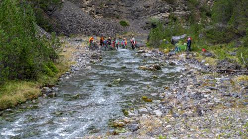Die Fische im Spöl werden herausgefischt und umgesiedelt. Foto: Schweizerischer Nationalpark/Hans Lozza