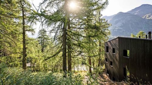 Einem Findling gleich ruht das Wohnhaus im Lärchenwald von St. Moritz. «Ich wollte kein Haus, welches nach aussen schreit, im Gegenteil. Dieses soll mit der Zeit ganz in der Landschaft verschwinden», sagt der Bauherr. Fotos: Alex Filz