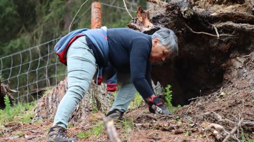 Eir glieud sainza connex cun la chatscha s‘ho partecipeda al di da chüra a Zernez (fotografia: Martin Camichel).