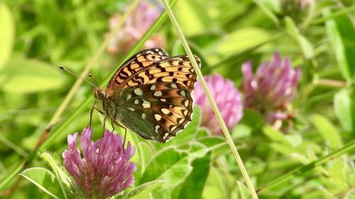 Foto: Monika Baumüller