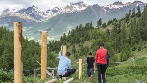 Schüler des Lyceum Alpinum waren letzte Woche auf der Alp Arpiglia, um dort einen Zaun zu bauen. Der langjährige Lehrer Peter Frehner leitete den Einsatz. Fotos: Annika Veclani
