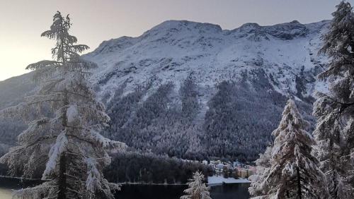 Der bereits dritte oder vierte Schneefall im Engadin diesen Winter. Wer zählt schon mit..... Foto: Sina Margadant