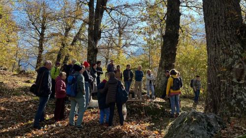 Die geführten Besichtigungen des Kastanienwaldes stiessen auf grossen Andrang. Foto: Bregaglia Engadin Turismo