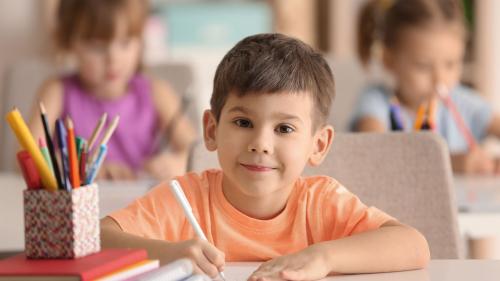 Die Schülerinnen und Schüler dürfen sich anhand von vorgegebenen Lernzielen auf Prüfungen vorbereiten. Foto: Shutterstock/AfricaStudio