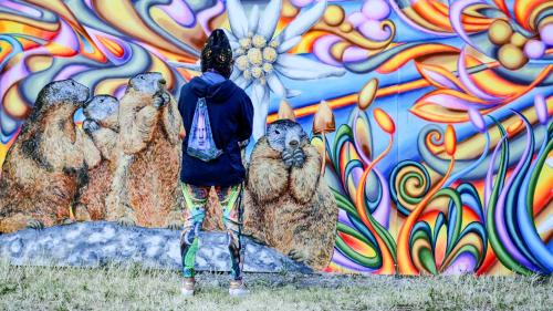 Symbolfoto: Jon Duschletta