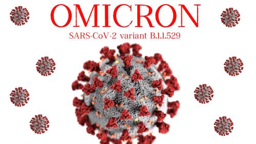 Foto: shutterstock.com/Bestravelvideo