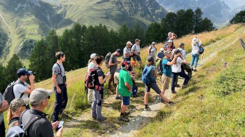 Den Teilnehmenden bot sich die Möglichkeit, die Lebensräume von Feld- und Schneehasen in unterschiedlichen Höhenlagen zu erkunden. Foto: Hannes Jenny