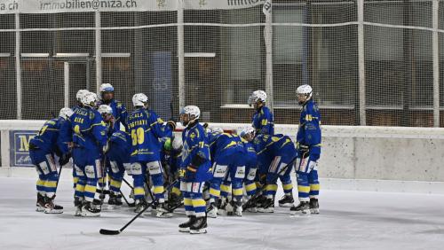 Archivfoto: Reto Stifel