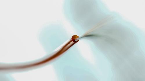 Purtret da simbol: Jon Duschletta