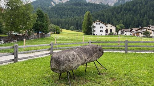Impreschiuns da l'exposiziun «plomer plajer culer». fotografia: Pascal Lampert