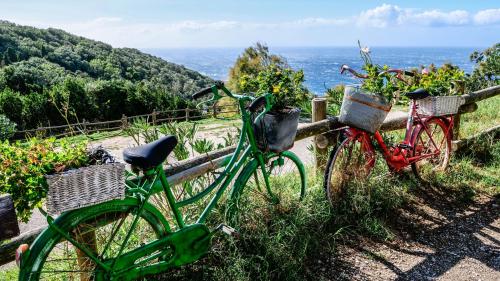 Ein ganzes Jahr bezahlten Urlaub. Wenn man weiss, wie. Foto: Jon Duschletta