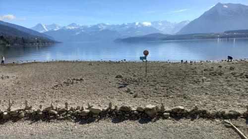 Der abgesenkte Thunersee vom Schaudaupark aus fotografiert. Foto: Bettina Gugger