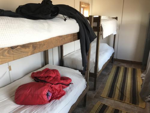 Foto: Anne-Marie Flammersfeld